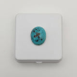 nishapur turquoise 27.29ct stone on a white square base with a white background