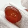 polished reddish-orange Carnelian gemstones, also known as Irani Aqeeq or Yemeni Haqeeq, displayed on a white background, showcasing their smooth cabochon cuts and vibrant natural color.