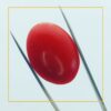 buy 227 carat natural red coral stone – premium loose gemstone for jewelry