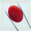 buy 227 carat natural red coral stone – premium loose gemstone for jewelry