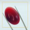buy 227 carat natural red coral stone – premium loose gemstone for jewelry