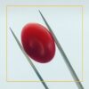 buy 227 carat natural red coral stone – premium loose gemstone for jewelry