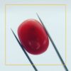 buy 227 carat natural red coral stone – premium loose gemstone for jewelry