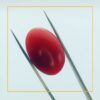 buy 227 carat natural red coral stone – premium loose gemstone for jewelry