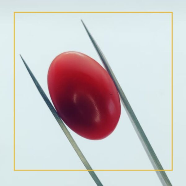 buy 227 carat natural red coral stone – premium loose gemstone for jewelry